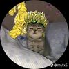 giorgi.913040