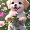 linda.coc3
