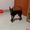 angie26514