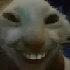 trannguyenhoanguyen1