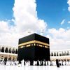 aamina.__0