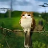 meowl_enjoyer