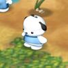 p0chacco_luv