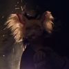 batmancat.n