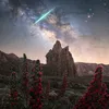 space.fella6