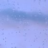 adham_salama14