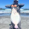 alejandrostuardo24