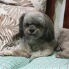 octimylove