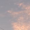 tefy_059