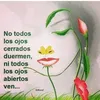 jose.ricardo.ayal6