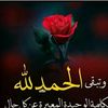 همایون جرفی پور