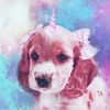 glitterunipuppy