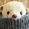 kuma15097