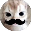mister_kitty20