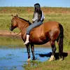 Gauchinha