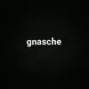 .gnasche_369