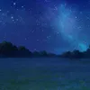 660_sam_660