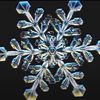 winterlove77