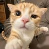 urlove.liy
