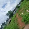 vietanh28.1