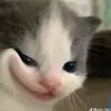kim.ngan.do69