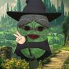 say_ngku123