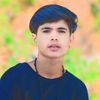 bb.shsh1