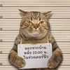 user5196788151735