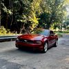 redcyclone37