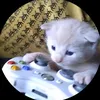 kairo_ryker