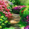 tari.islam6