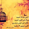 qutiba.mohammed8