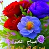 zahedihtu8z