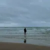 v._aao