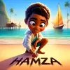 hamzahamz017