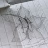 arhapat3
