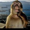 hamza_li2