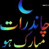 gulam.shabir4748
