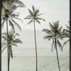 r55s_l8