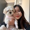 bobomi38