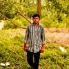 md.simul.mir