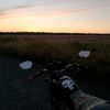 shev_tsov825