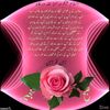 user3603556125027