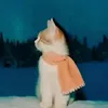 yowwber_