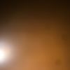wizz_494