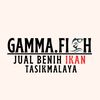 gammafish2