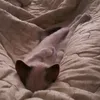 keti_regissska