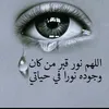a.noura01