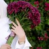 nourelsalam11