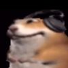 skibidibro346